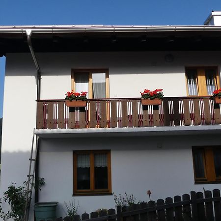 Ferienwohnung Haus Elisabeth, Rossfeldalm 贝希特斯加登 外观 照片